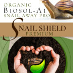 SNAIL PRO-01